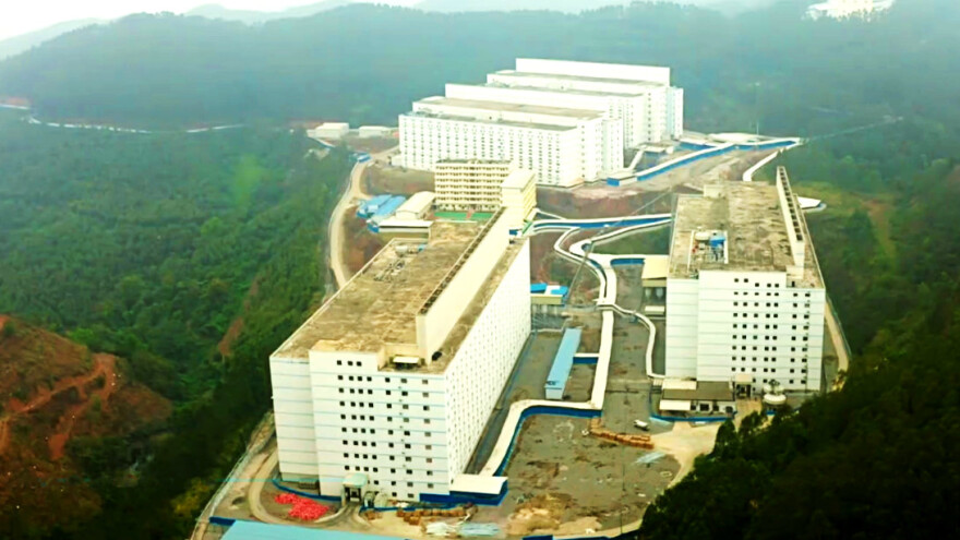 Kako izgleda uzgoj svinja u neboderu?