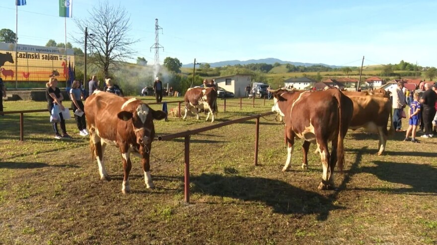 Na stočnoj izložbi farmerima podijeljeno 12 hiljada KM: Ovo su vlasnici šampionskih grla