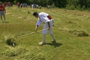 Održana kosidba na Balkani: Naši osvojili drugo i treće mesto, najbolji i u ekipnom delu
