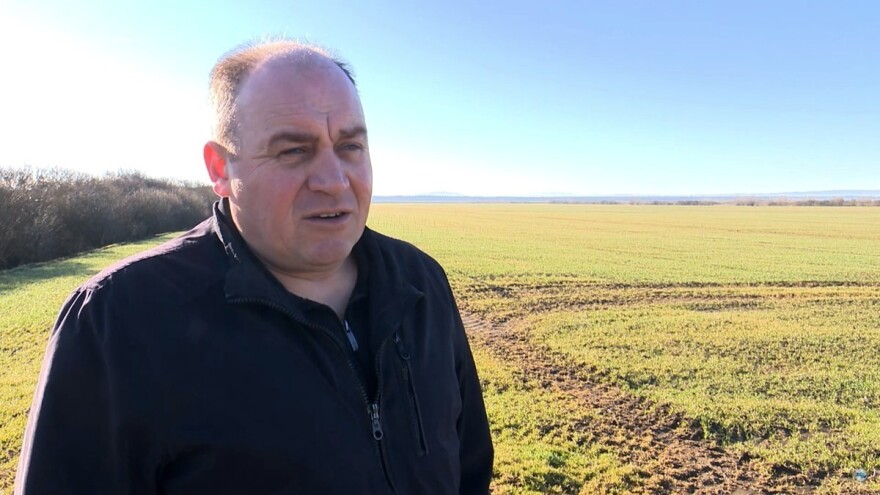 Igla u plastu sijena - tako veći ratari opisuju pomoć Ministarstva zbog cijena repromaterijala