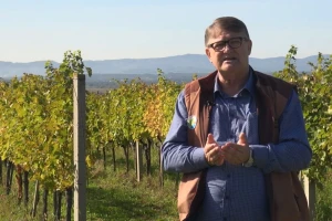 Tomislav Božičević: Jesenska zaštita znači i 30 posto manje problema u vinogradima