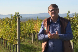Tomislav Božičević: Jesenska zaštita znači i 30 posto manje problema u vinogradima