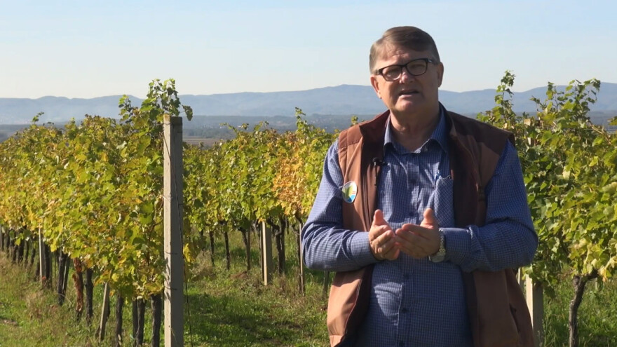 Tomislav Božičević: Jesenska zaštita znači i 30 posto manje problema u vinogradima