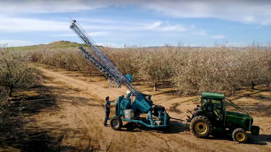 Mašinsko oprašivanje kao alternativa pčelama: Kako izgleda?