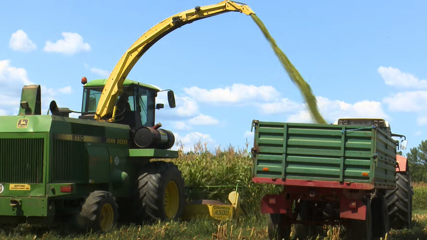 Krenula priprema kukuruzne silaže: Na OPG-u Vučković oko 20 tona po hektaru manje