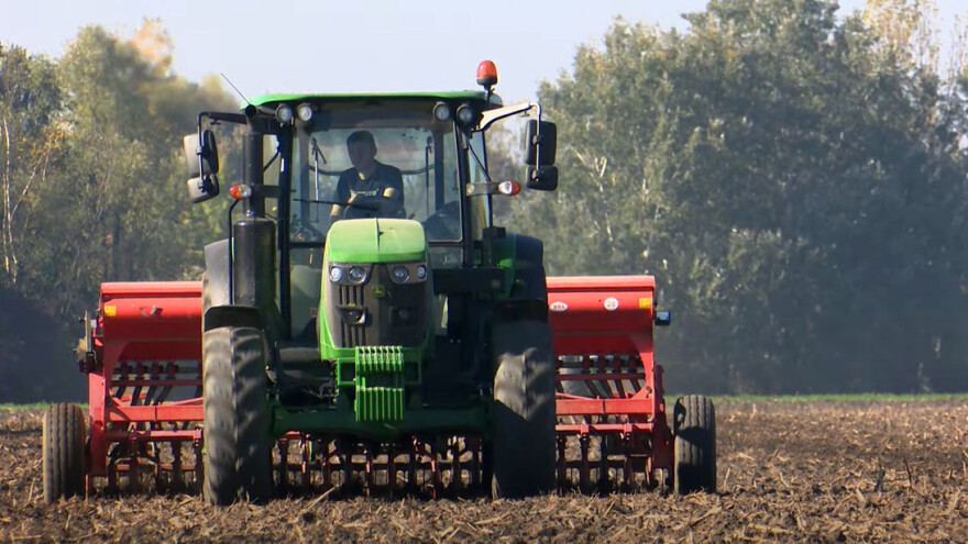 Počela sjetva ozimina: Bez jesenske gnojidbe, a sjeme -  tavanuša