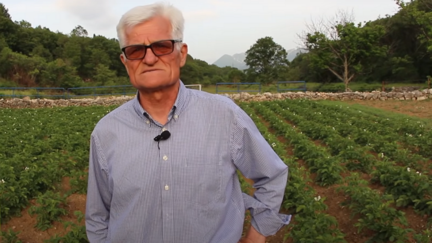 Kažu posadili krumpir k'o i svake godine i gle čuda, nikla tek polovica! Evo i zašto