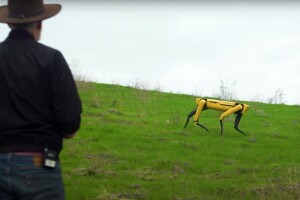 Robotski pas: Nadgleda usjeve i čuva ovce?