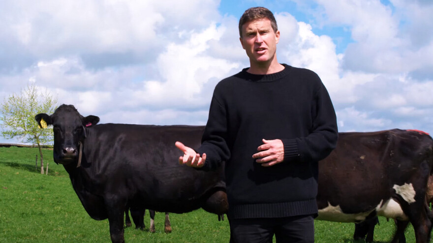 Ogrlice za upravljanje govedima apsurd ili komercijalna stvarnost?