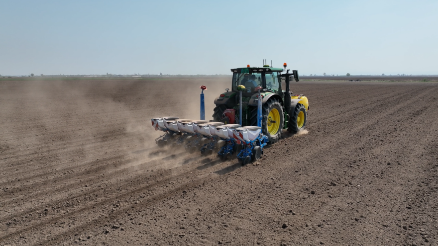 Uz različite setvene norme na jednoj parceli do visokih prinosa