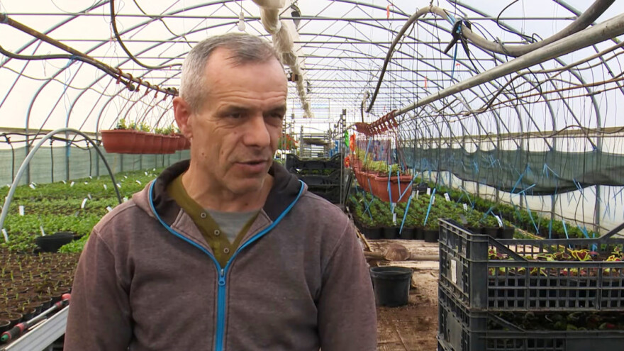 Cijene energenata i repromaterijala muče cvjećare, pomoć trebaju i proizvođači jagoda