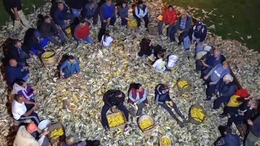 Perušanje kukuruza donijelo dašak prošlosti u selo Poljak