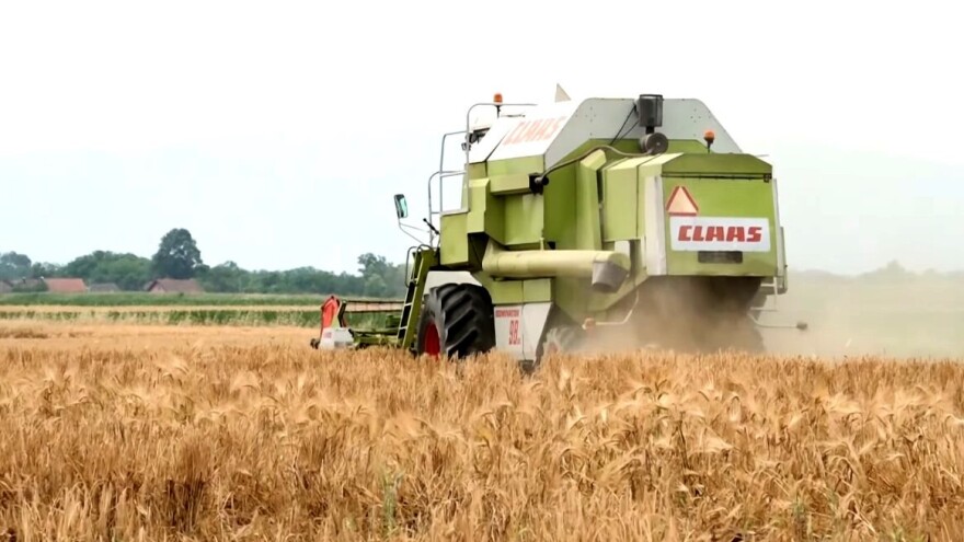 Prinosi ječma u Semberiji iznad prosjeka