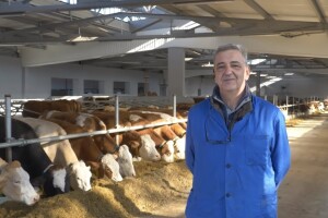 Farmer iz Viteza svakoj kravi kupio dušek od 200 maraka