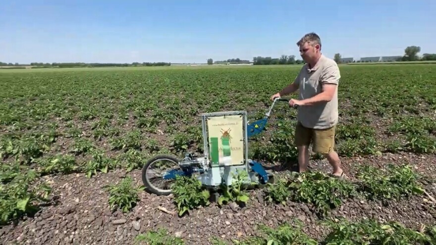 Bavarski poljoprivrednik osmislio uređaj za skupljanje krumpirovih zlatica