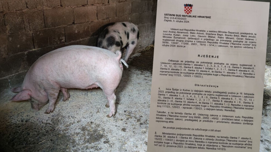 Ustavni sud očitovao se o mjerama suzbijanja afričke svinjske kuge, ne slažu se s tim svi suci