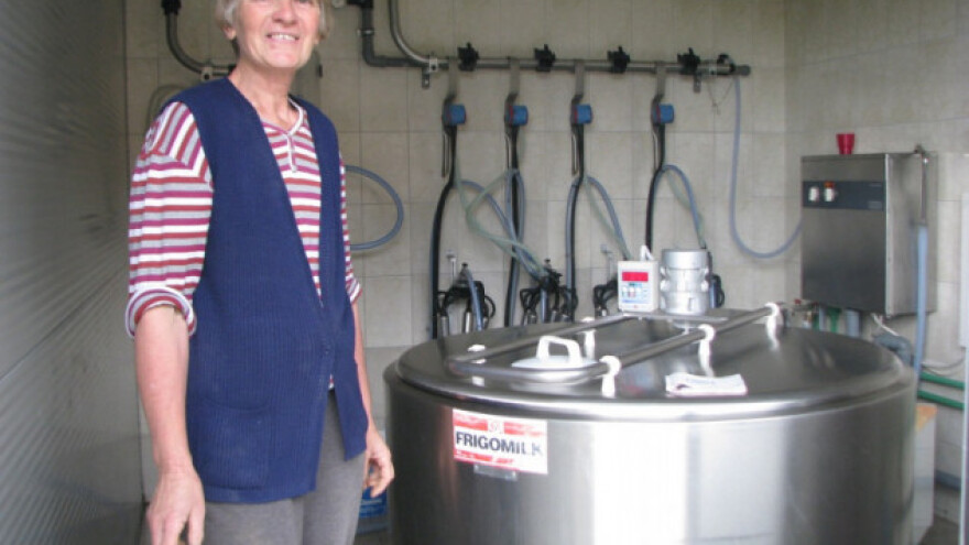 Proizvedu 400 litara mlijeka dnevno