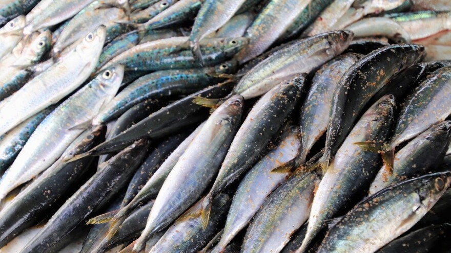 Prijedlog pravilnika o uvjetima, kriterijima i načinu dodjele potpore u okviru mjere I.9.