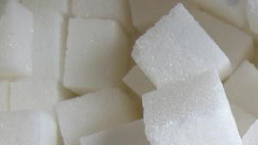 Osječka šećerana ove godine proizvela 73.000 tona šećera