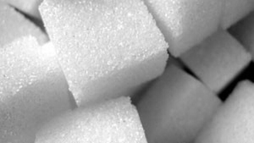 Ivan Škorić novi je član uprave Sladorane i Vira