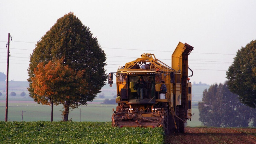 Slovenci će sijati 500 ha šećerne repe za Viro