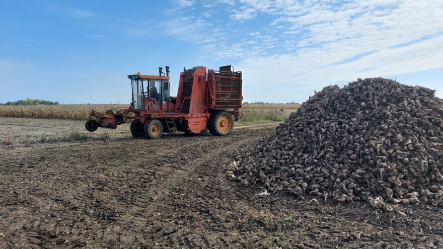 Proizvodnja šećerne repe u Srbiji je konkurentna na evropskom tržištu