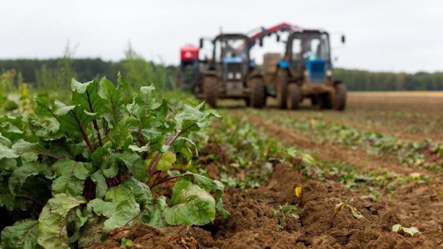 Poljoprivrednici iz sektora biljne proizvodnje - ostvarite bespovratne potpore!
