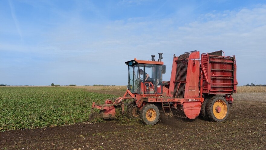 Proizvođačima šećerne repe 12 milijuna kuna jer postoji bojazan od zatvaranja posljednje šećerane