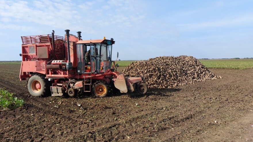 Preko 11 milijuna kuna na računima proizvođača šećerne repe i malih mljekara