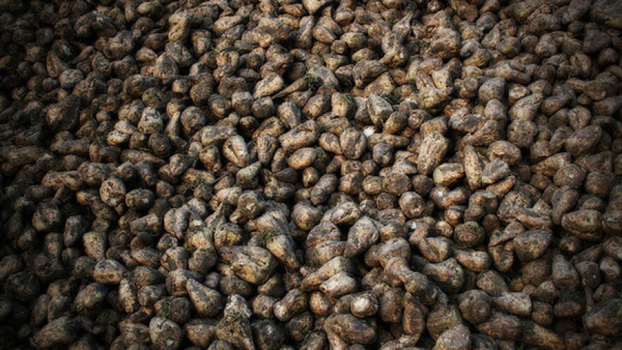 Započela jubilarna trideseta kampanja