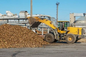 Cijena i potpore oživjeli proizvodnju repe
