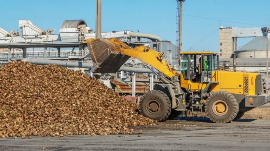 Cijena i potpore oživjeli proizvodnju repe