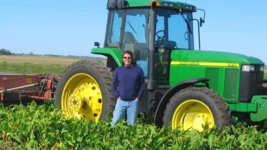 Kako je šećerna repa ponovno postala moderna?