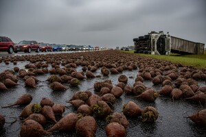 Šećerna repa završila na autocesti!