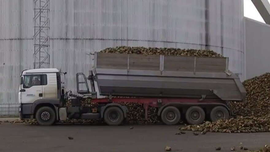 Raznolika digestija - raznoliki prihodi!