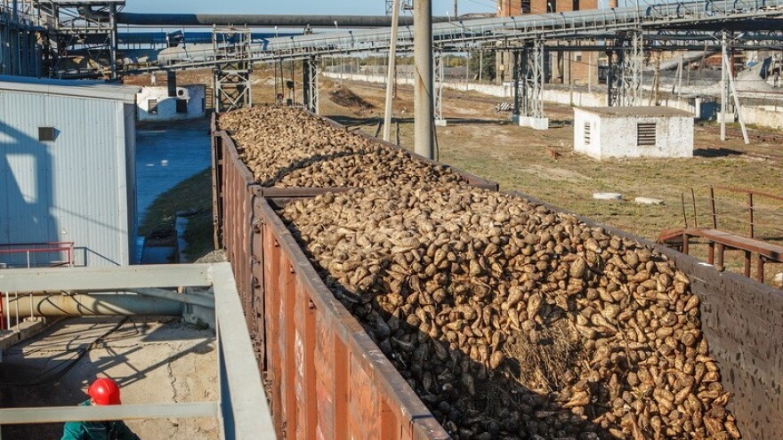 Cilj je 900 stalnih proizvođača šećerne repe!