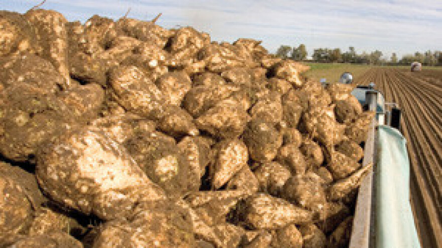 U EU ima i malih šećerana koje uspješno rade