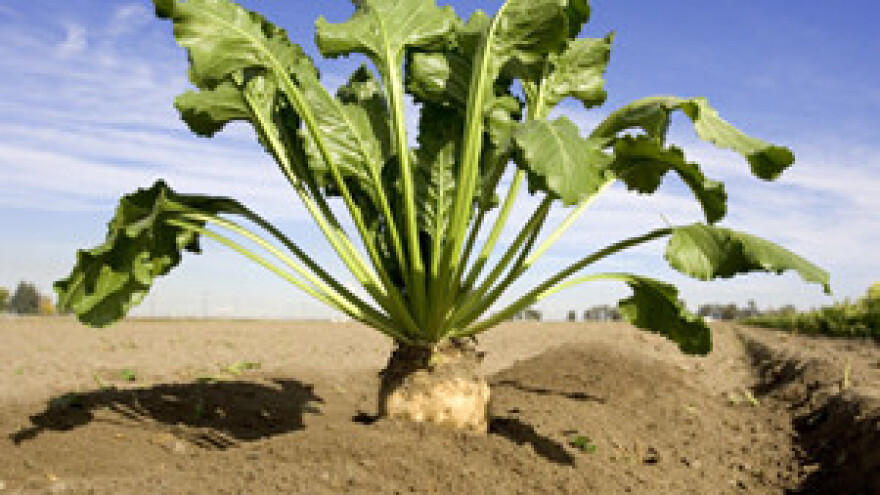 Poljoprivreda koči ulazak u EU