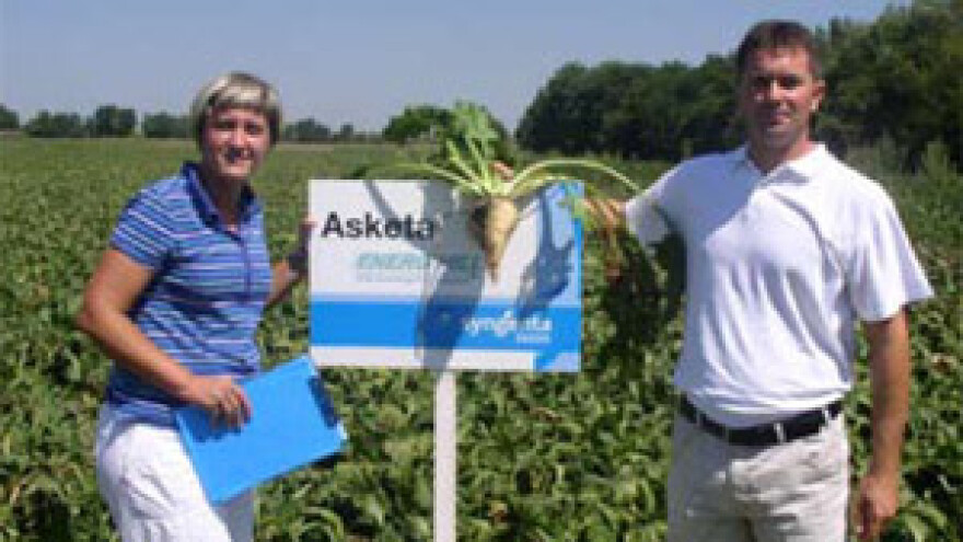 Prednosti Syngenta sortimenta