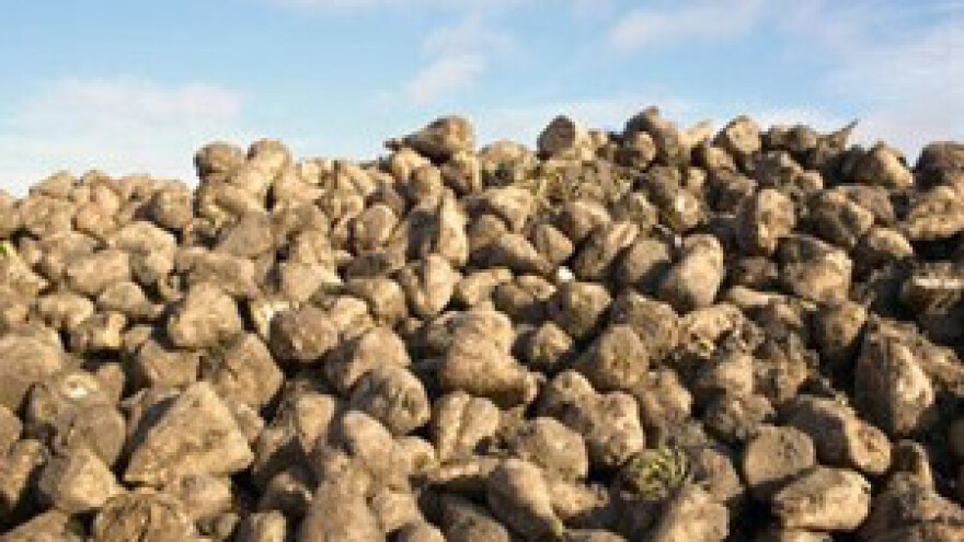 Viro uspješan unatoč recesiji