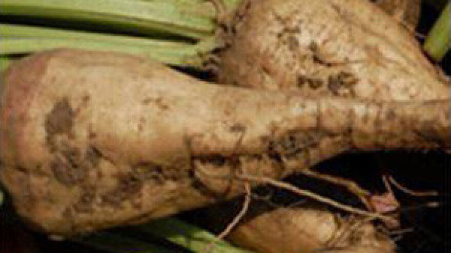 Intervju s predsjednikom Uprave Sladorane