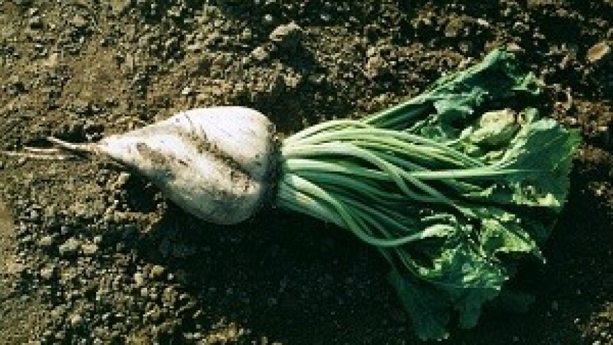 Većim prinosima do veće zarade