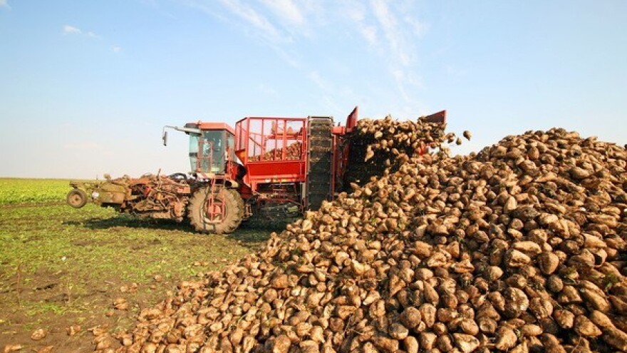 Novi model otkupa šećerne repe?