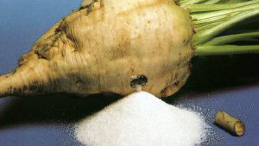 Šećera nešto manje od plana