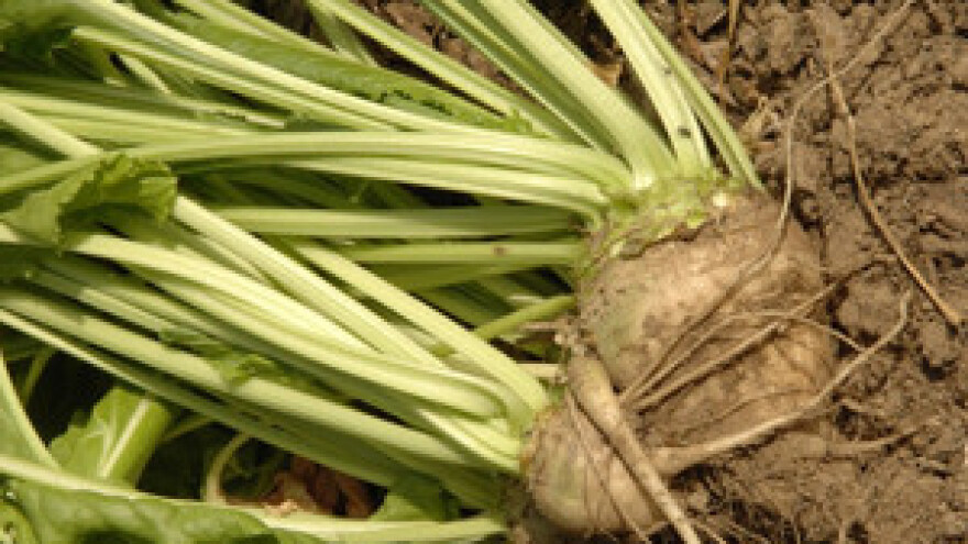 Viro zbog posljedica suše kooperantima produžio rokove otplate na tri godine