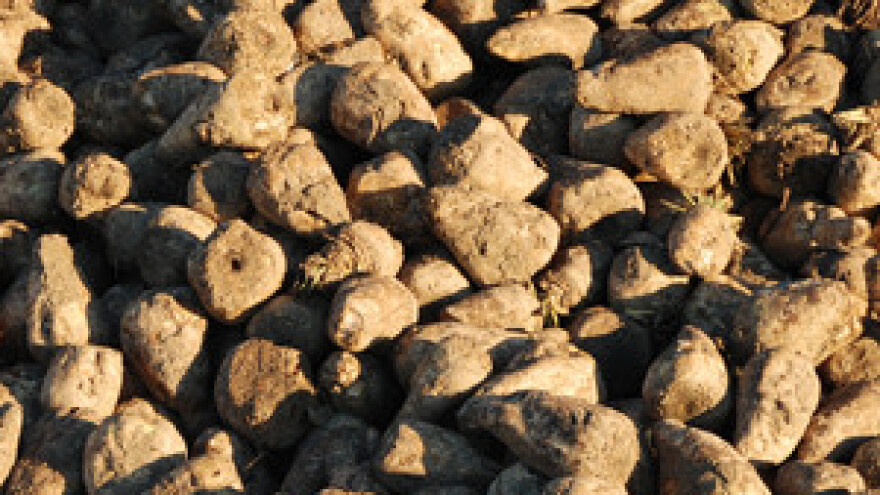 Šećerni rat Srbije i Hrvatske okončan gubitkom 15 mil. eura