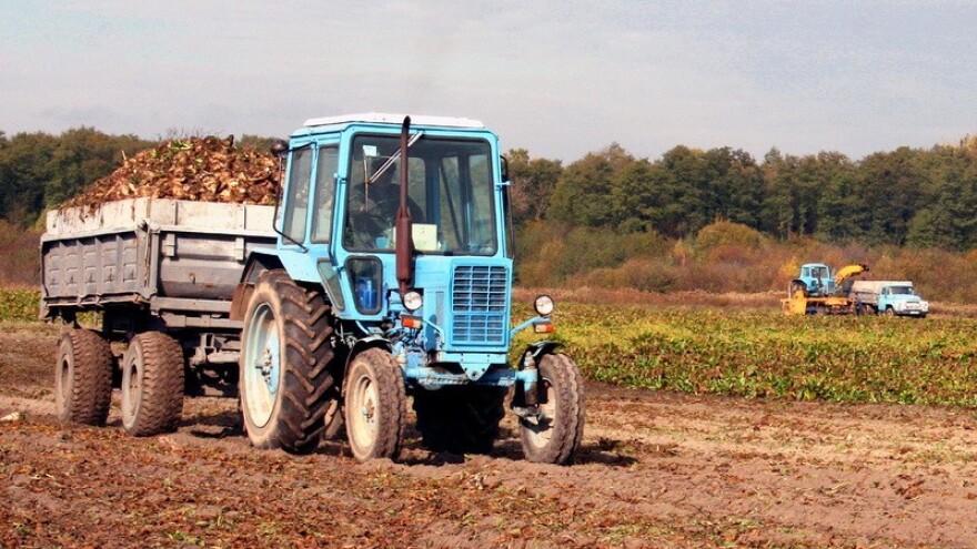 Važnost dušika u gnojidbi šećerne repe