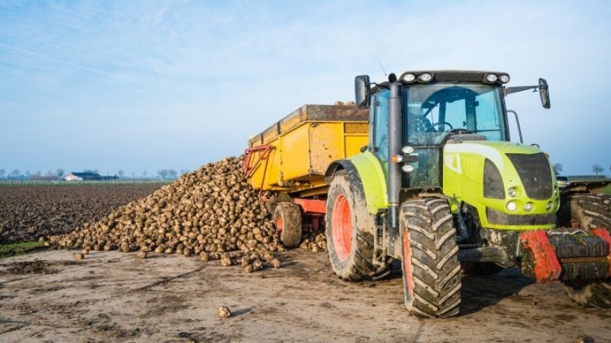 Traže kooperante sa površinama od 10 hektara!