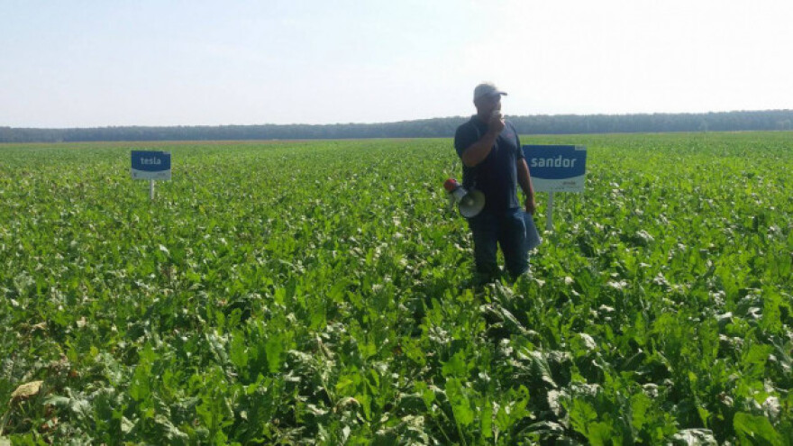 90 tona po hektaru šećerne repe?