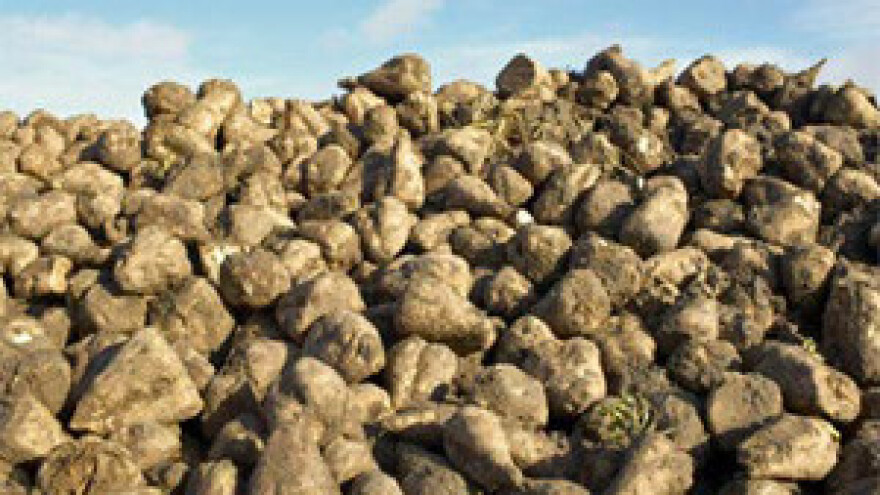 Osječki šećeranci opet po sirovinu u inozemstvo